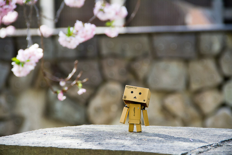 danbo adventure