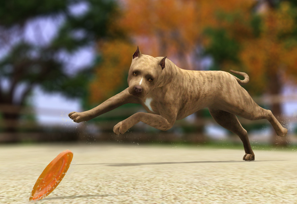 Al'kor Tammi of Blue Lagoon - The sims 3