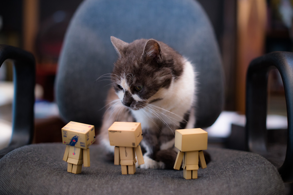 Credit: Flickr / Takashi Hososhima