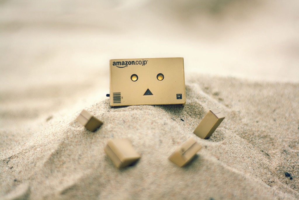 danbo buried in sand