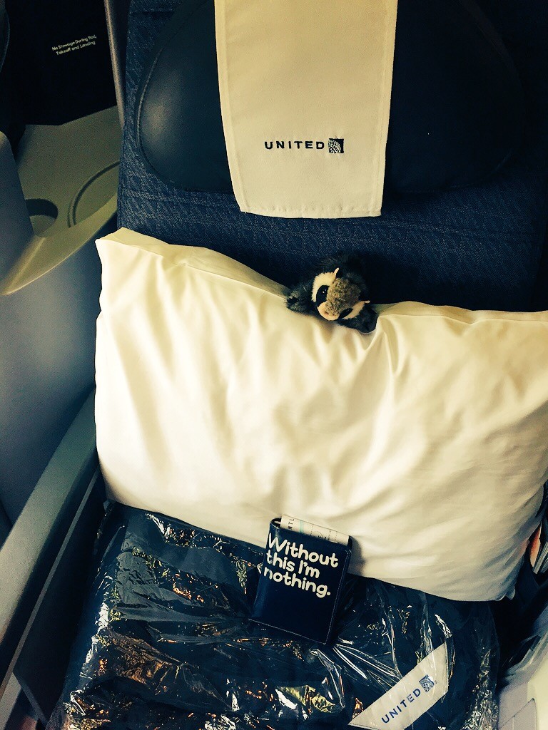 Tiny Raccon perches on a pillow on a business class airline seat. Below sits a passport, in a case that says "without this I'm nothing"