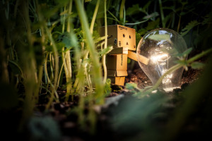 danbo finds a lightbulb